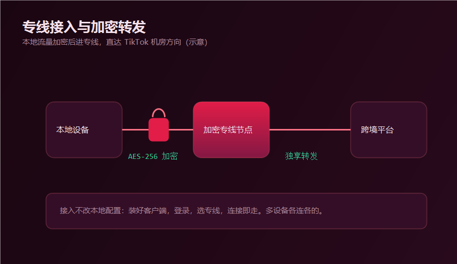 tk专线接入与加密转发示意，本地流量加密后经专线节点直达TikTok机房方向
